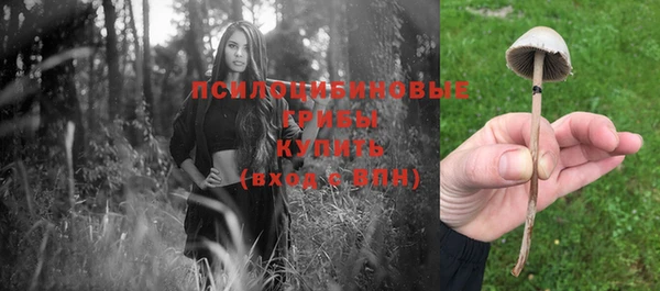 дмт Володарск