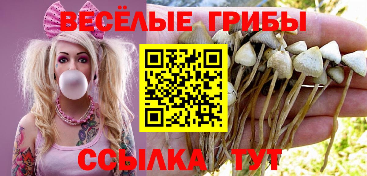 Каннабис  A-PVP  Кетамин  Мяу-Мяу  COCAIN  МДМА  Плюхи  Лабинск  Вход с VPN  Конопля 