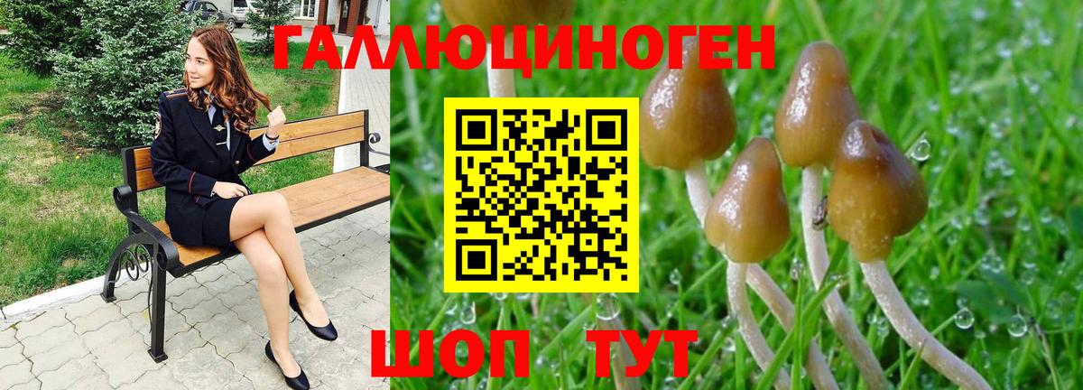 Галлюциногенные грибы мухоморы Лабинск