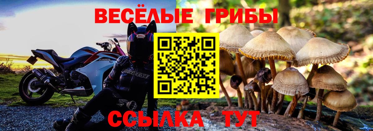 Лабинск  Галлюциногенные грибы Psilocybe  Вход с VPN 